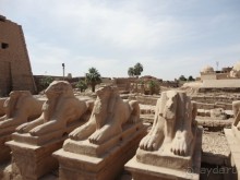 Альбом отзыва "Луксор - город истории и магии."