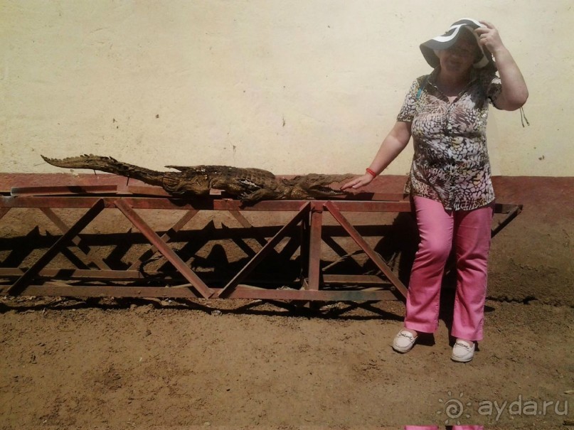 Луксор - город истории и магии.