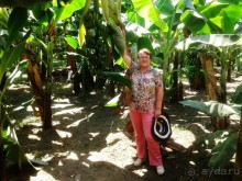 Луксор - город истории и магии.