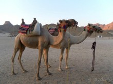 Луксор - город истории и магии.