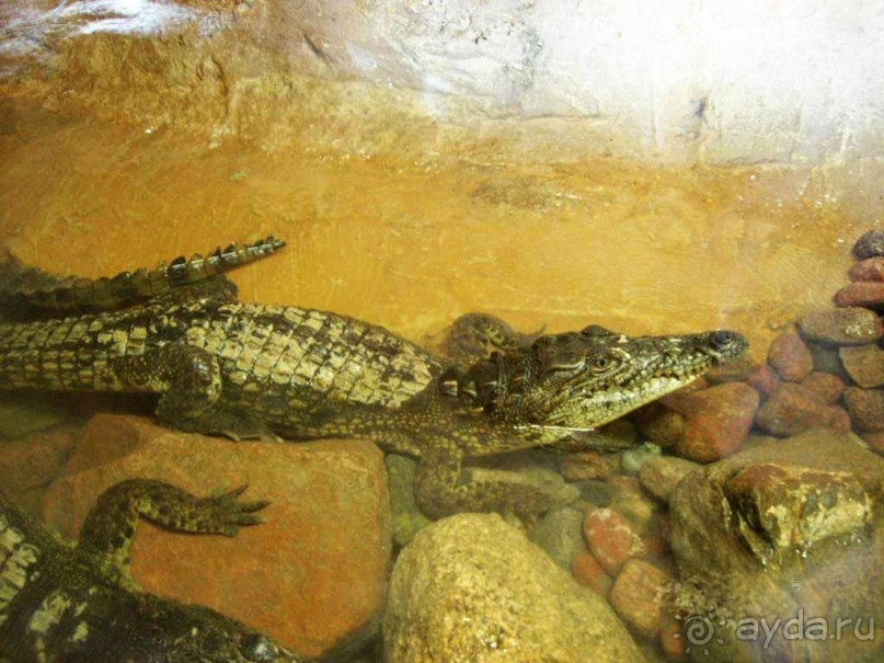 Луксор - город истории и магии.