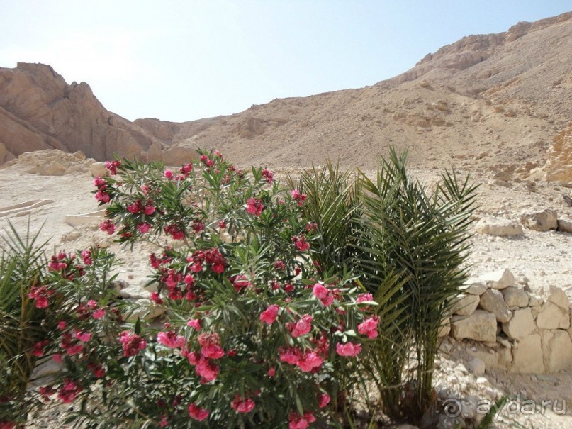 Луксор - город истории и магии.