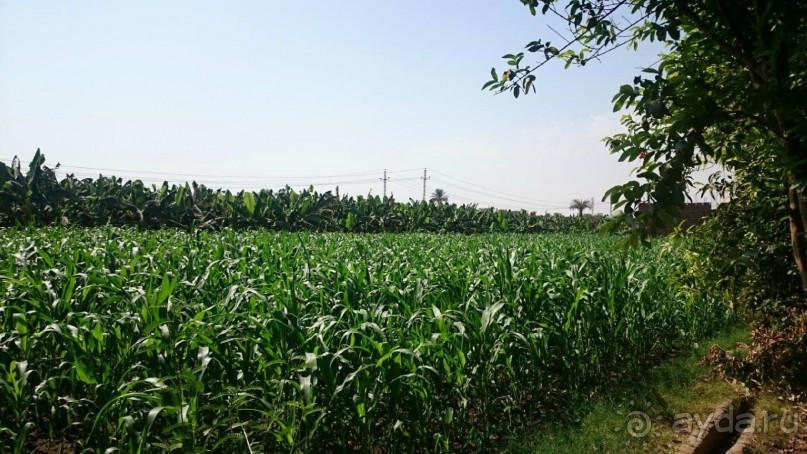 Луксор - город истории и магии.