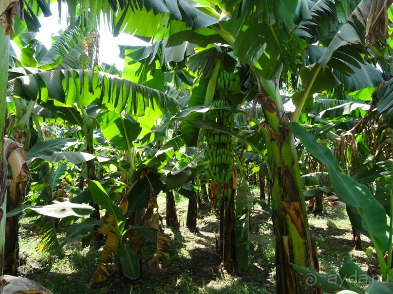 Луксор - город истории и магии.