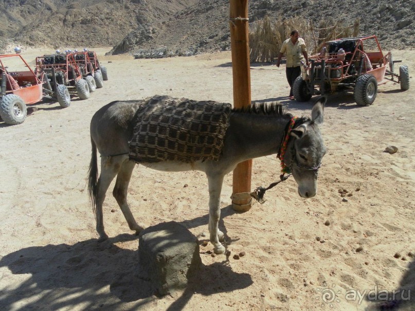 Луксор - город истории и магии.