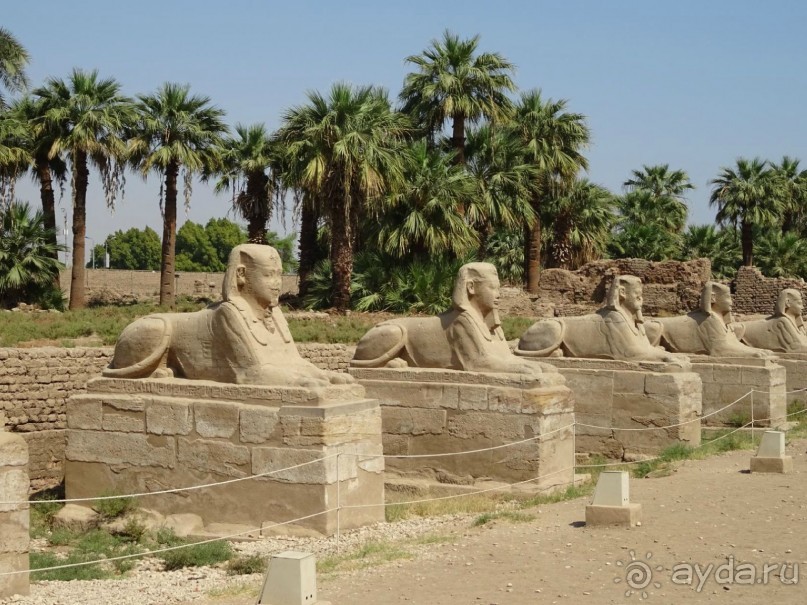 Луксор - город истории и магии.