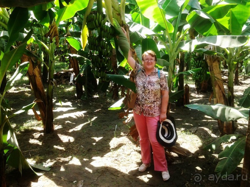 Луксор - город истории и магии.