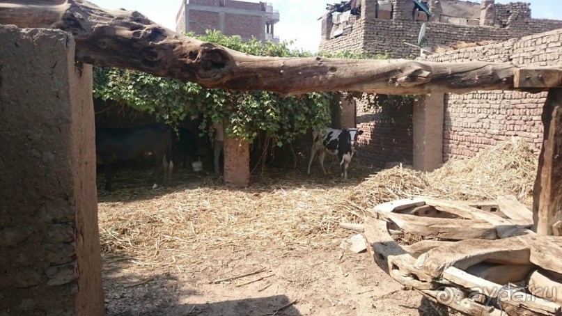 Луксор - город истории и магии.