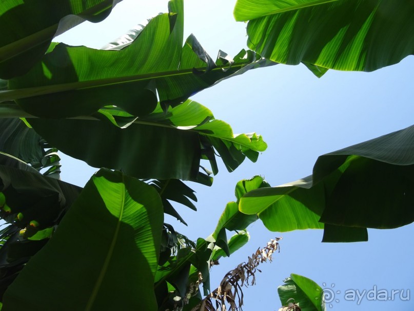 Луксор - город истории и магии.