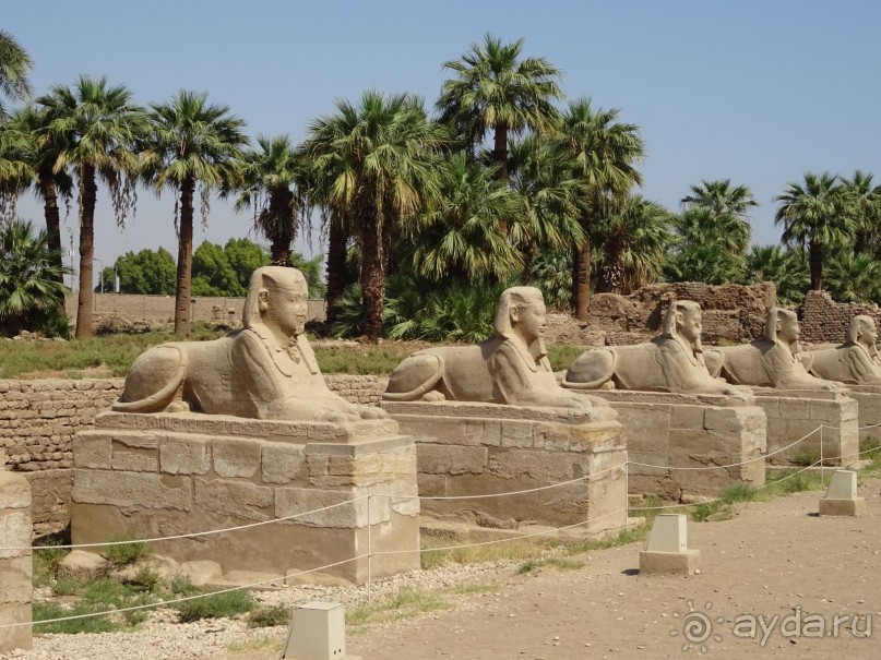 Луксор - город истории и магии.