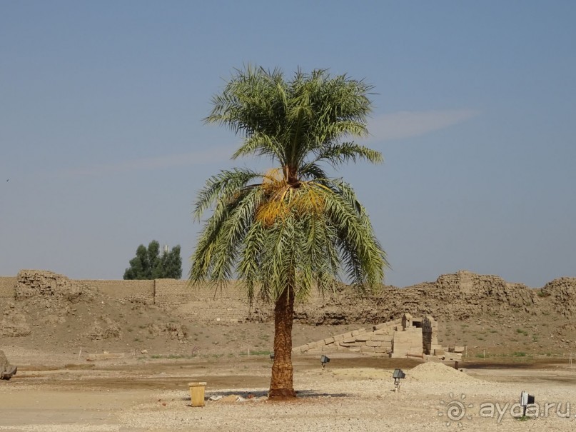 Луксор - город истории и магии.