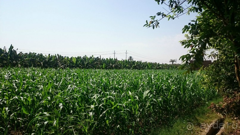 Луксор - город истории и магии.