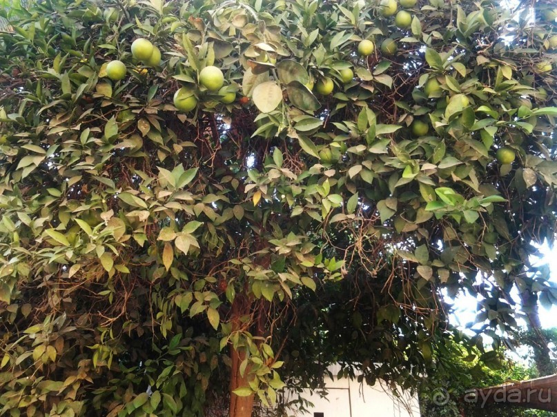 Луксор - город истории и магии.