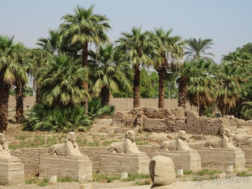 Луксор - город истории и магии.