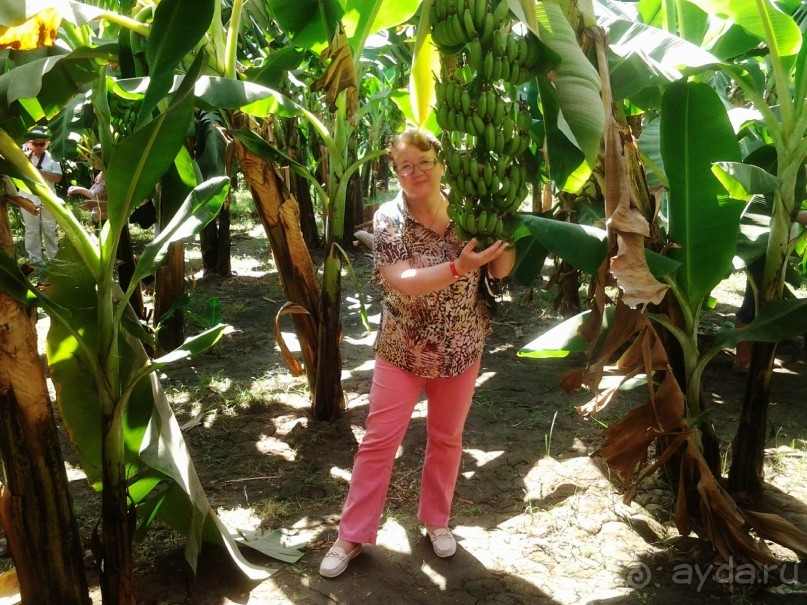 Луксор - город истории и магии.