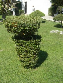 Ханья - самый венецианский город Крита.