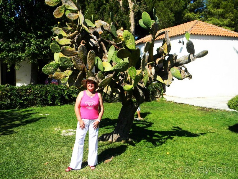 Ханья - самый венецианский город Крита.