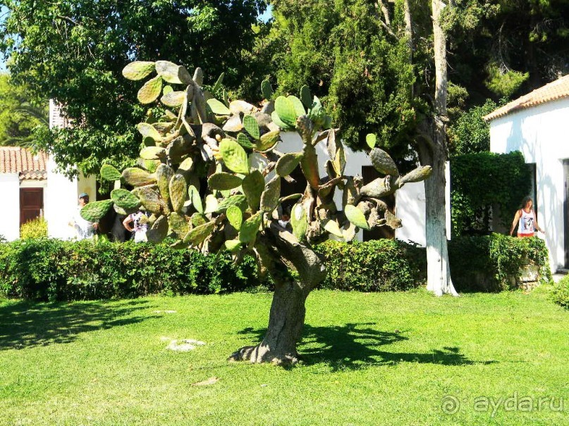 Ханья - самый венецианский город Крита.