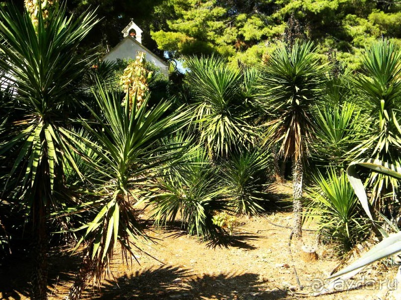 Ханья - самый венецианский город Крита.