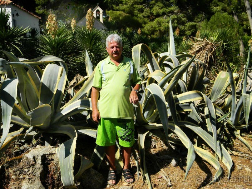 Ханья - самый венецианский город Крита.