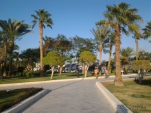 Не ходите, дети, в Африку гулять!