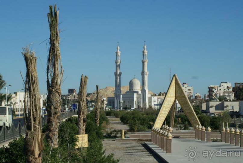 Не ходите, дети, в Африку гулять!