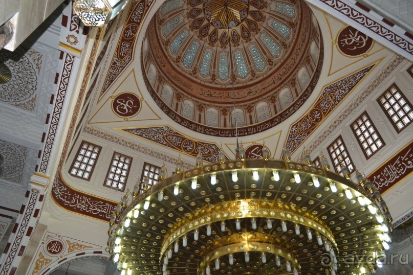 Не ходите, дети, в Африку гулять!