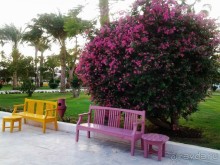 Не ходите, дети, в Африку гулять!