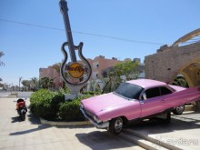 Не ходите, дети, в Африку гулять!