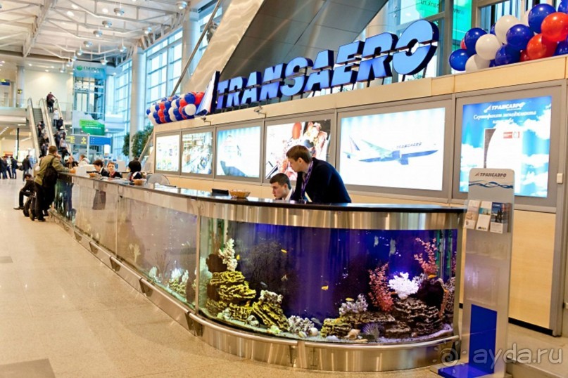 Не ходите, дети, в Африку гулять!