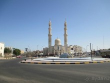 Не ходите, дети, в Африку гулять!