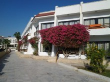 Не ходите, дети, в Африку гулять!