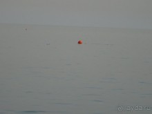 Не ходите, дети, в Африку гулять!