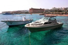 Не ходите, дети, в Африку гулять!