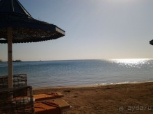 Не ходите, дети, в Африку гулять!