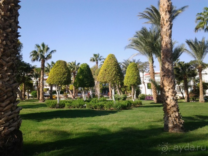 Не ходите, дети, в Африку гулять!