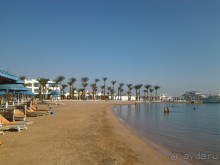 Не ходите, дети, в Африку гулять!