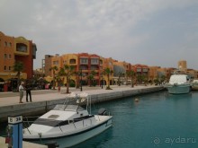 Не ходите, дети, в Африку гулять!