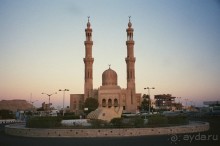 Не ходите, дети, в Африку гулять!