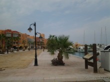 Не ходите, дети, в Африку гулять!