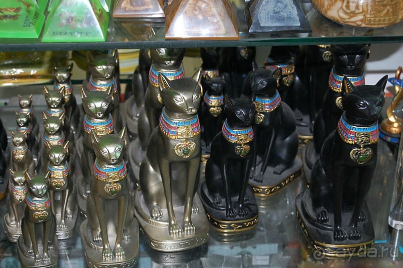 Не ходите, дети, в Африку гулять!