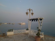 Не ходите, дети, в Африку гулять!