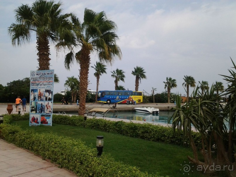 Не ходите, дети, в Африку гулять!