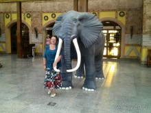 Не ходите, дети, в Африку гулять!