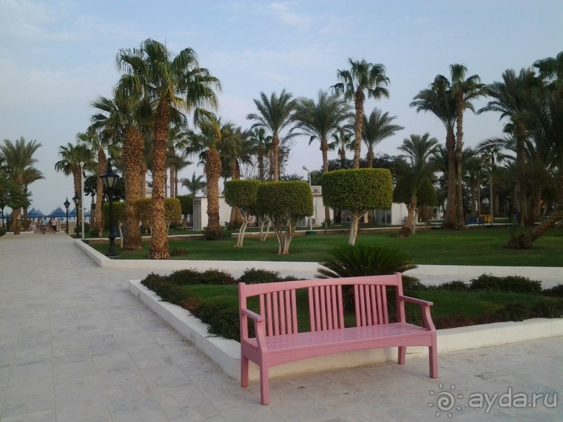 Не ходите, дети, в Африку гулять!