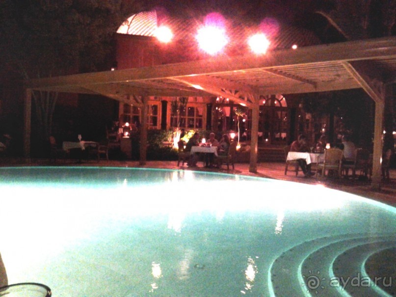 Не ходите, дети, в Африку гулять!