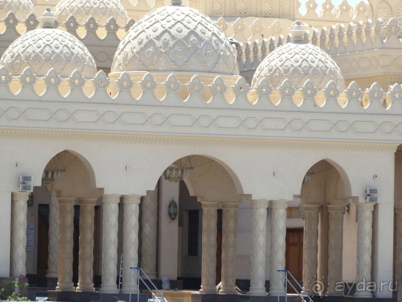 Не ходите, дети, в Африку гулять!