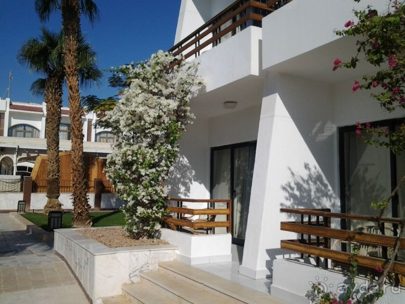 Не ходите, дети, в Африку гулять!