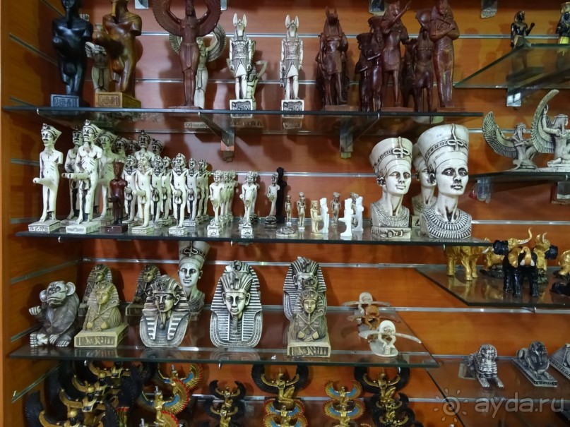 Не ходите, дети, в Африку гулять!