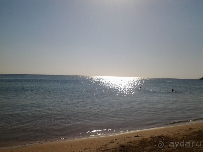 Не ходите, дети, в Африку гулять!